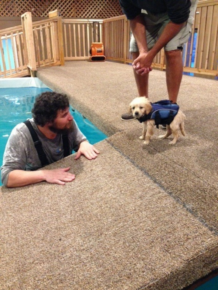 Puppy Swimming Lesson