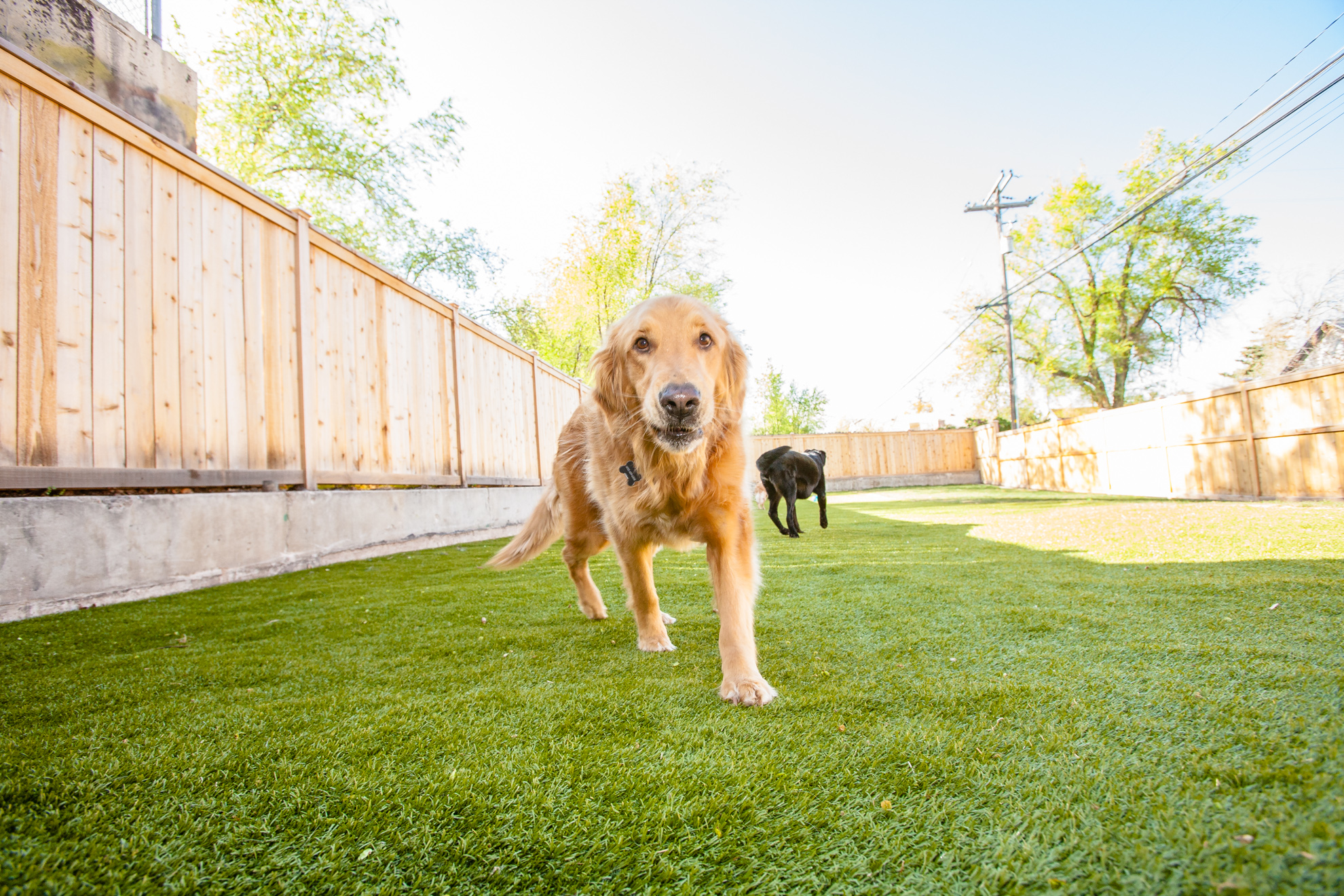 19F38018-4A78-4BB6-B51C-D14CB9917DC7