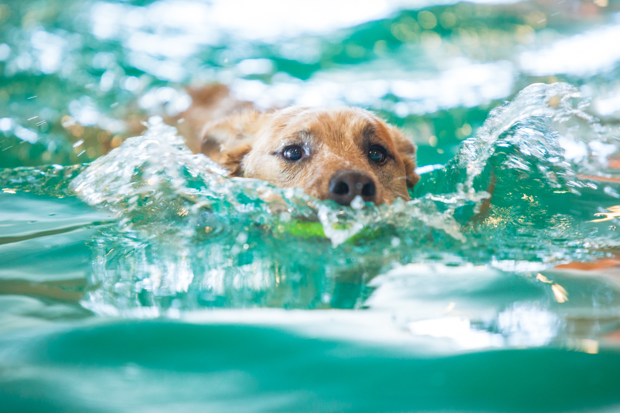 6DD67275-3A82-4469-93B0-0155E1FB4985